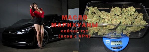 дмт Бородино