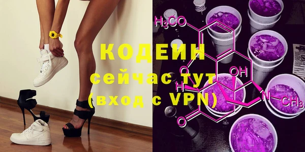 дмт Бородино