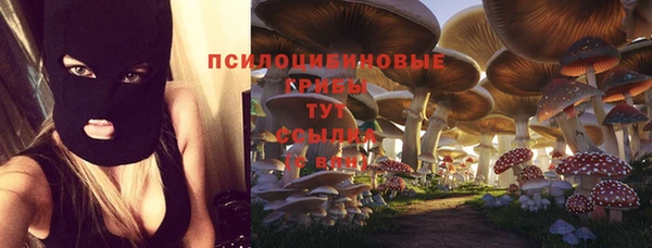 дмт Бородино