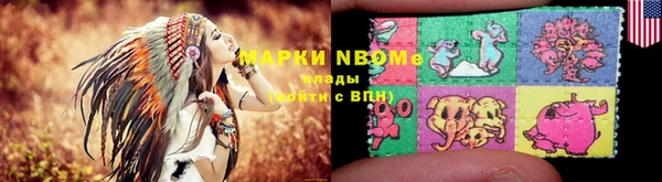дмт Бородино