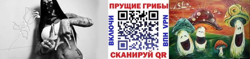 Купить где  Кудрово  Галлюциногенные грибы ЛСД 