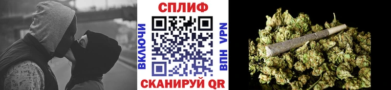 Конопля гибрид  Купить закладки  Кудрово 